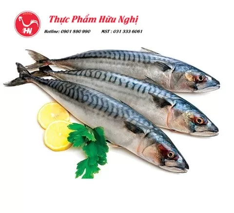 Cá saba Nauy nấu món ngon 1
