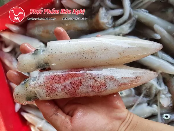 Chế Biến Mực Ống 2023 2024 2920