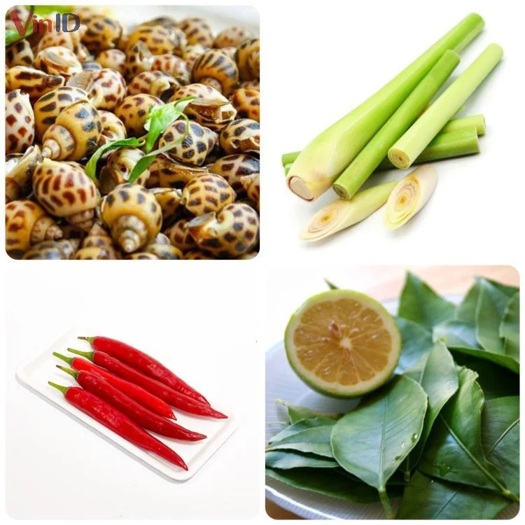 Ốc Hương Hấp Sả Thơm Ngon Khó Cưỡng 6