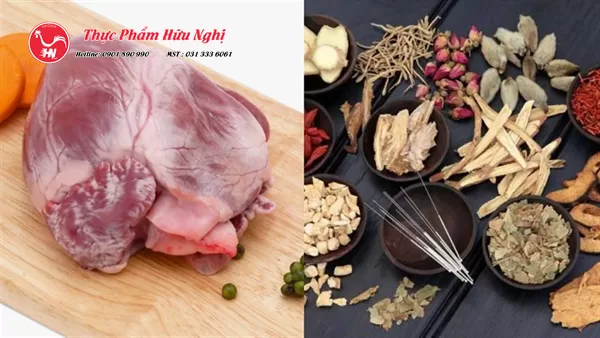 Tim heo hầm thuốc Bắc 2s