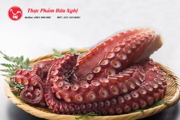 Cách chọn bạch tuộc tươi ngon 22024 s