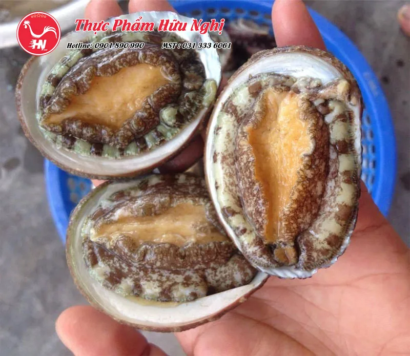 cách chế biến bào ngư tươi