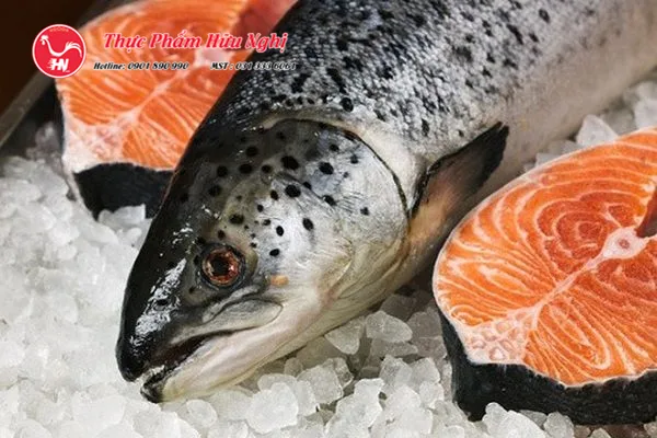 Cách Chọn Thịt Cá Hồi Tươi Ngon - Tạo Món Ăn Đậm Vị qq23