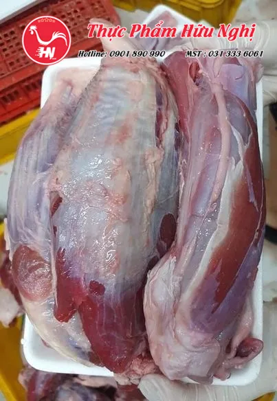 Chọn Bắp Rùa Ấn Độ 453456