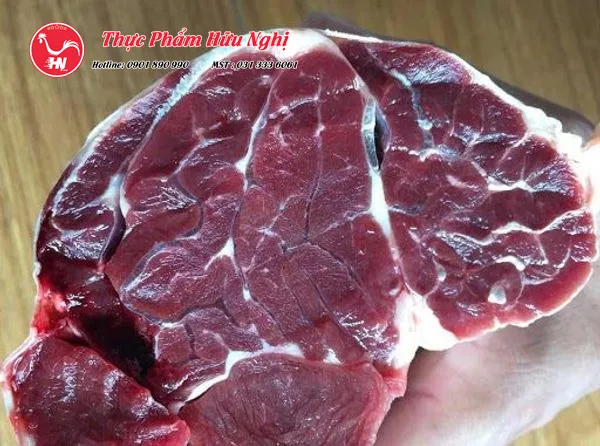 Chọn Bắp Rùa Ấn Độ 5346346
