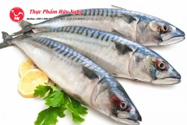 Đặc Điểm Các Chọn Cá Nục Nhật Tươi Ngon 2