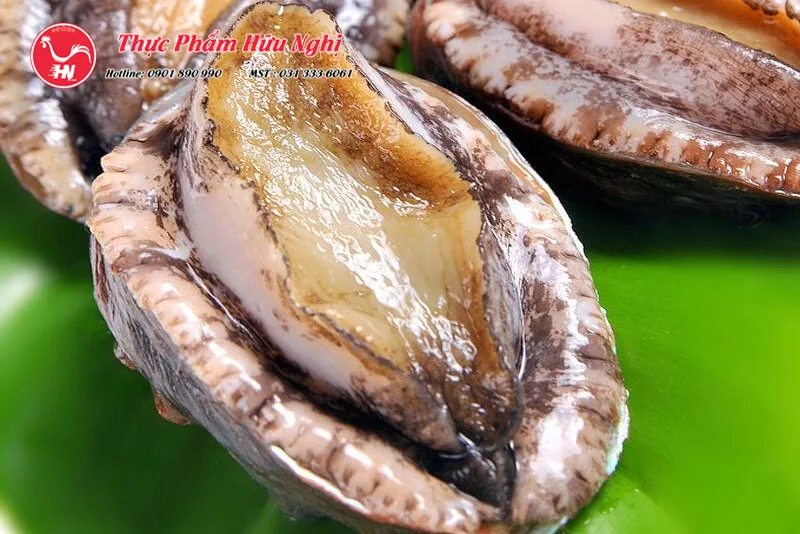 cách chọn bào ngư tươi ngon