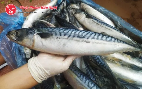 Cách chọn cá SaBa Nhật Tươi Ngon satải xuống
