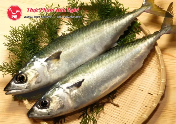 Cách chọn cá SaBa Nhật Tươi Ngon ssaas átải xuống