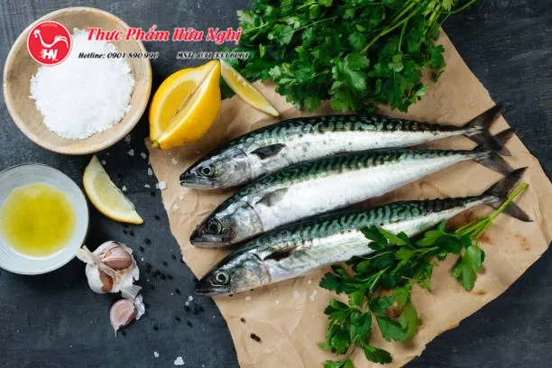 Cách chọn cá SaBa Nhật Tươi Ngon tải xuống