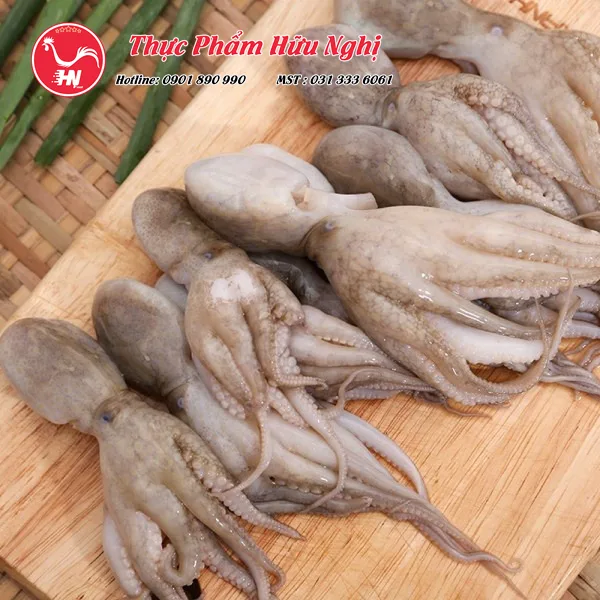 tải xuốLựa chọn bạch tuộc nhỏ làm sạch tươi ngon ng