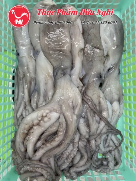 Món ăn ngon từ bach-tuoc-2-da-8