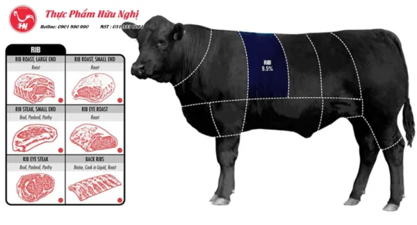 vi-tri-cua-de-suon-bo Đặc Điểm Của Dẻ Sườn Bò