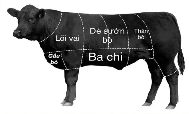 Thịt Bò Úc Nhập Khẩu Giá Rẻ - Nguồn Thực Phẩm Chất Lượng Cao ò nhập khẩu