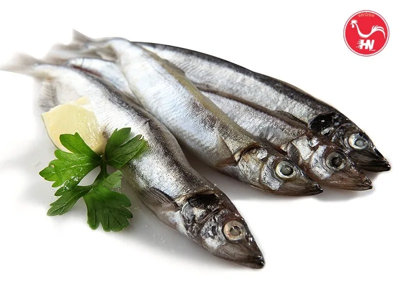 Dinh Dưỡng Cá Trứng 1