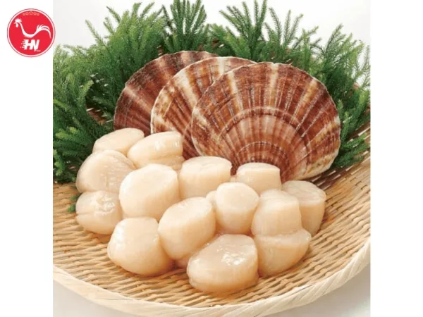 Công Ty Cung Cấp Cồi Sò Điệp Nhật Chính Hãng Tại HCM s-1-