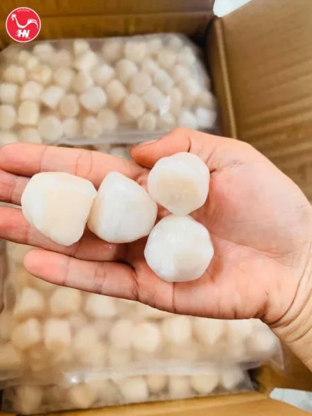 Công Ty Cung Cấp Cồi Sò Điệp Nhật Chính Hãng Tại HCM ss-nhật-4